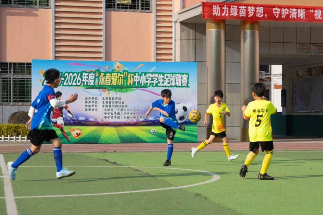 世界杯小组赛积分榜-冠军出炉！永春县小学生足球联赛圆满落幕